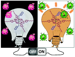 Graphical abstract: Non-aggregated lipophilic water-soluble tin porphyrins as photosensitizers for photodynamic therapy and photodynamic antimicrobial chemotherapy
