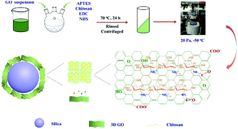 Graphical abstract: Three-dimensional chitosan/graphene oxide aerogel for high-efficiency solid-phase extraction of acidic herbicides in vegetables