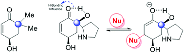 Graphical abstract: Mechanistic insights can resolve the low reactivity and selectivity issues in intermolecular Rauhut–Currier (RC) reaction of γ-hydroxyenone