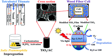 Graphical abstract: Synthesizing C–N–P-tridoped TiO2 in a Salix psammophila-activated carbon body to enhance its regeneration performance