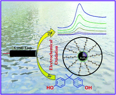 Graphical abstract: Synthesis of a hierarchically structured Fe3O4–PEI nanocomposite for the highly sensitive electrochemical determination of bisphenol A in real samples