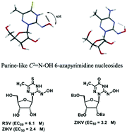 Graphical abstract: 2-Hydroxyimino-6-aza-pyrimidine nucleosides: synthesis, DFT calculations, and antiviral evaluations