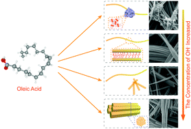 Graphical abstract: Investigation on [OH−]-responsive systems for construction of one-dimensional hydroxyapatite via a solvothermal method