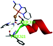 Graphical abstract: Transition metal complexes as potential tools against SARS-CoV-2: an in silico approach