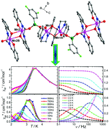 Graphical abstract: An aromatic selenite bridged Mn(iii) chain compound showing the coexistence of single chain magnet and metamagnet behaviour