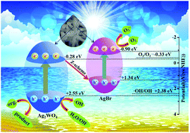 Graphical abstract: In situ construction of a direct Z-scheme AgBr/α-Ag2WO4 heterojunction with promoted spatial charge migration and photocatalytic performance