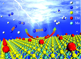Graphical abstract: A DFT screening of single transition atoms supported on MoS2 as highly efficient electrocatalysts for the nitrogen reduction reaction