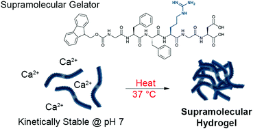 Graphical abstract: Non-reversible heat-induced gelation of a biocompatible Fmoc-hexapeptide in water