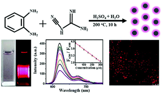 Graphical abstract: Facile synthesis of red dual-emissive carbon dots for ratiometric fluorescence sensing and cellular imaging