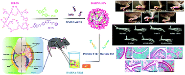 Graphical abstract: A novel indomethacin/methotrexate/MMP-9 siRNA in situ hydrogel with dual effects of anti-inflammatory activity and reversal of cartilage disruption for the synergistic treatment of rheumatoid arthritis