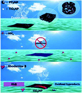 Graphical abstract: A high-efficiency ammonia-responsive solar evaporator