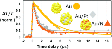 Graphical abstract: Ultrafast relaxation dynamics in bimetallic plasmonic catalysts