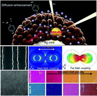 Graphical abstract: Porosity-controllable magnetoplasmonic nanoparticles and their assembled arrays