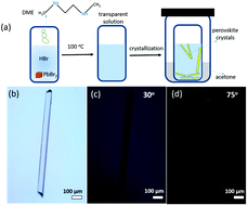 Graphical abstract: High charge carrier mobility in solution processed one-dimensional lead halide perovskite single crystals and their application as photodetectors