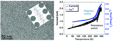 Graphical abstract: Spin crossover in Fe(triazole)–Pt nanoparticle self-assembly structured at the sub-5 nm scale