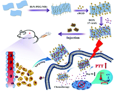 Graphical abstract: Functionalized boron nanosheets as an intelligent nanoplatform for synergistic low-temperature photothermal therapy and chemotherapy