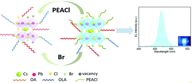 Graphical abstract: High brightness blue light-emitting diodes based on CsPb(Cl/Br)3 perovskite QDs with phenethylammonium chloride passivation