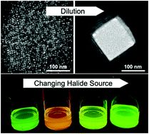 Graphical abstract: Synthetic factors affecting the stability of methylammonium lead halide perovskite nanocrystals