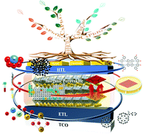 Graphical abstract: Challenges and strategies relating to device function layers and their integration toward high-performance inorganic perovskite solar cells