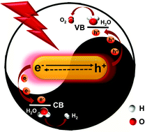Graphical abstract: Plasmon of Au nanorods activates metal–organic frameworks for both the hydrogen evolution reaction and oxygen evolution reaction