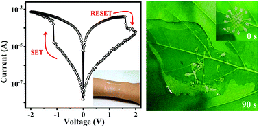 Graphical abstract: Highly flexible and degradable memory electronics comprised of all-biocompatible materials