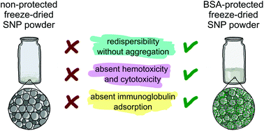 Graphical abstract: Protein corona meets freeze-drying: overcoming the challenges of colloidal stability, toxicity, and opsonin adsorption