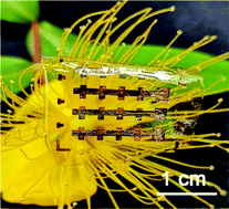 Graphical abstract: Flexible low-power source-gated transistors with solution-processed metal–oxide semiconductors