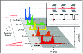 Graphical abstract: Fingerprinting branches on supercoiled plasmid DNA using quartz nanocapillaries