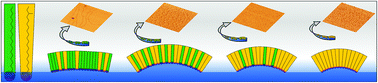 Graphical abstract: Tuneable interfacial surfactant aggregates mimic lyotropic phases and facilitate large scale nanopatterning