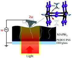 Graphical abstract: Nanoscale light- and voltage-induced lattice strain in perovskite thin films