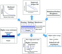 Graphical abstract: Review of recent developments in surface nanocrystallization of metallic biomaterials