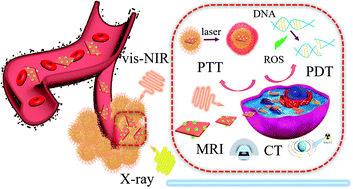 Graphical abstract: “One stone, two birds”: engineering 2-D ultrathin heterostructure nanosheet BiNS@NaLnF4 for dual-modal computed tomography/magnetic resonance imaging guided, photonic synergetic theranostics