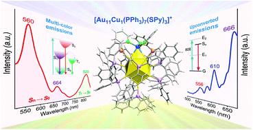 Graphical abstract: A mono-copper doped undeca-gold cluster with up-converted and anti-stokes emissions of fluorescence and phosphorescence