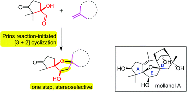 Graphical abstract: Toward the total synthesis of grayanane diterpene mollanol A by a Prins [3 + 2] strategy
