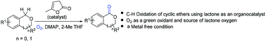 Graphical abstract: α-Angelica lactone catalyzed oxidation of benzylic sp3 C–H bonds of isochromans and phthalans