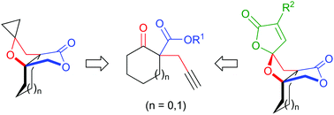 Graphical abstract: A short route to access oxaspiro[n,3,3]propellanes