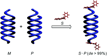 Graphical abstract: Absolute handedness control of oligoamide double helices by chiral oxazolylaniline induction