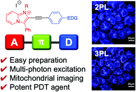 Graphical abstract: Two- and three-photon excitable quaternized imidazo[1,2-a]pyridines as mitochondrial imaging and potent cancer therapy agents