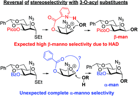 Graphical abstract: A versatile approach to the synthesis of mannosamine glycosides