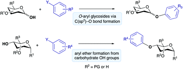 Graphical abstract: Recent advances in the direct O-arylation of carbohydrates