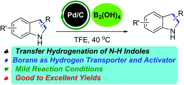Graphical abstract: Pd/C-Catalyzed transfer hydrogenation of N–H indoles with trifluoroethanol and tetrahydroxydiboron as the hydrogen source