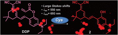 Graphical abstract: A novel near-infrared fluorescent probe based on isophorone for the bioassay of endogenous cysteine