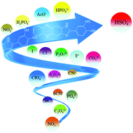 Graphical abstract: Tailoring an HSO4− anion hybrid receptor based on a phenazine derivative