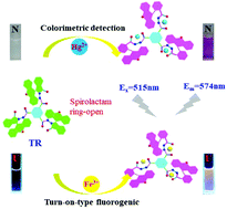 Graphical abstract: A rhodamine-based dual chemosensor for the naked-eye detection of Hg2+ and enhancement of the fluorescence emission for Fe3+