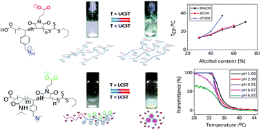 Graphical abstract: Dual pH and thermoresponsive alternating polyampholytes in alcohol/water solvent mixtures