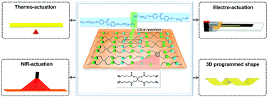 Graphical abstract: A copper(i)-catalyzed azide–alkyne click chemistry approach towards multifunctional two-way shape-memory actuators