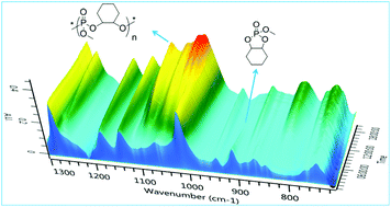 Graphical abstract: Construction of polyphosphoesters with the main chain of rigid backbones and stereostructures via organocatalyzed ring-opening polymerization