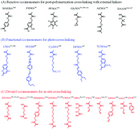 Graphical abstract: Polymerization-induced self-assembly for the fabrication of polymeric nano-objects with enhanced structural stability by cross-linking