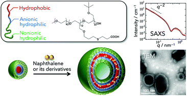 Graphical abstract: Polymersome formation induced by encapsulation of water-insoluble molecules within ABC triblock terpolymers