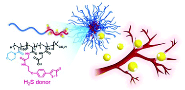 Graphical abstract: Hydrogen sulfide-releasing micelles for promoting angiogenesis